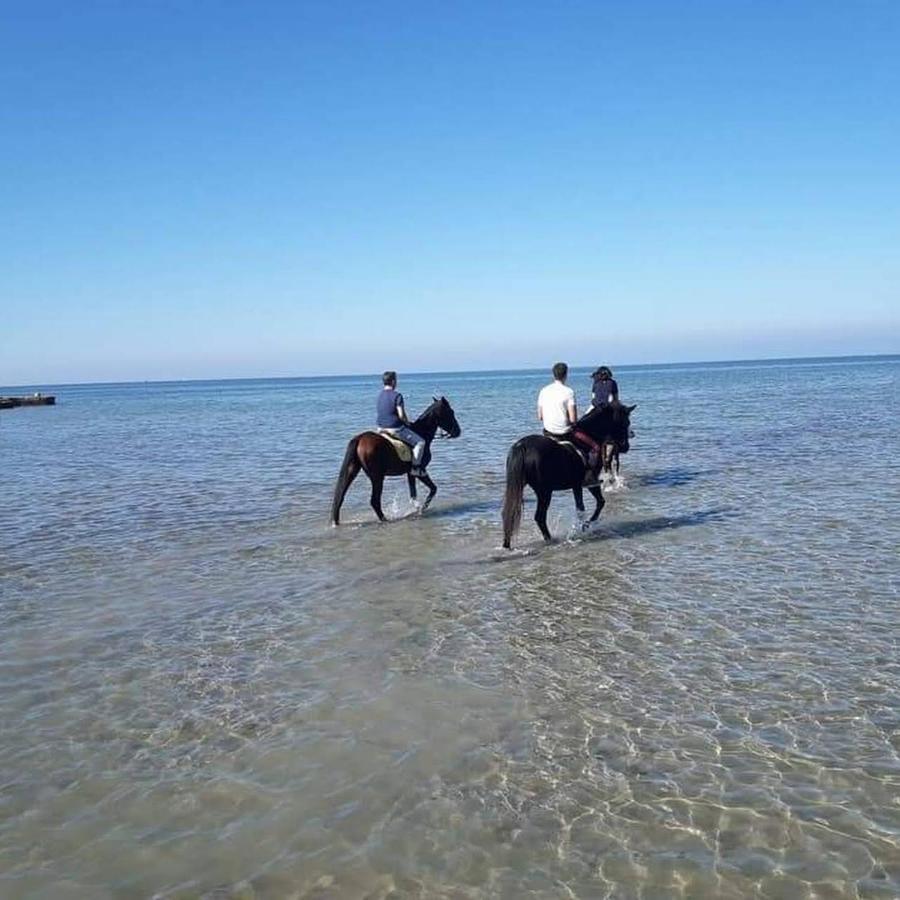 Kite House Marsala Stagnone Bed & Breakfast Bagian luar foto